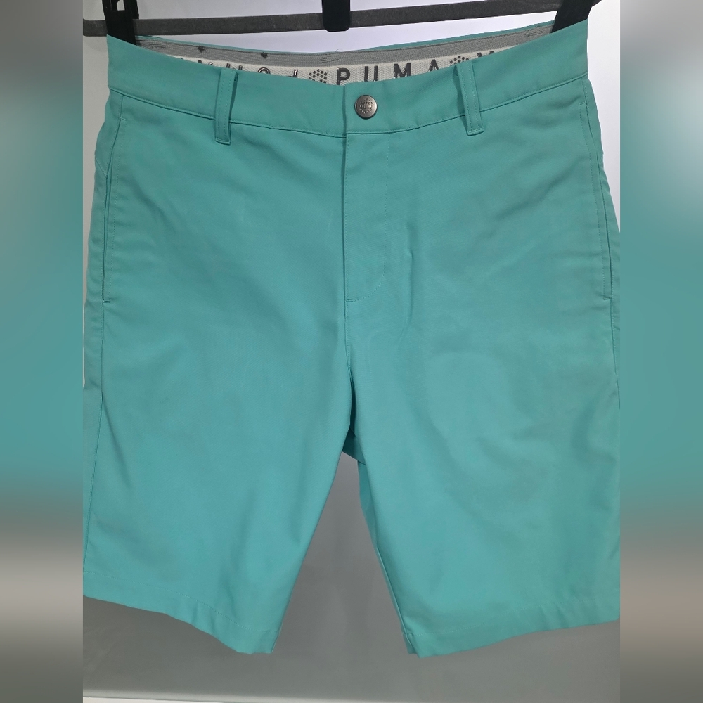 Puma Men's Teal Flat-Front Performance Shorts